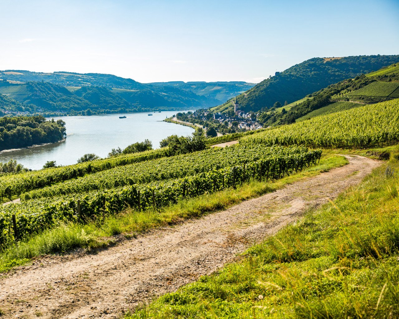Blick auf Lorch | &copy; Henry Tornow