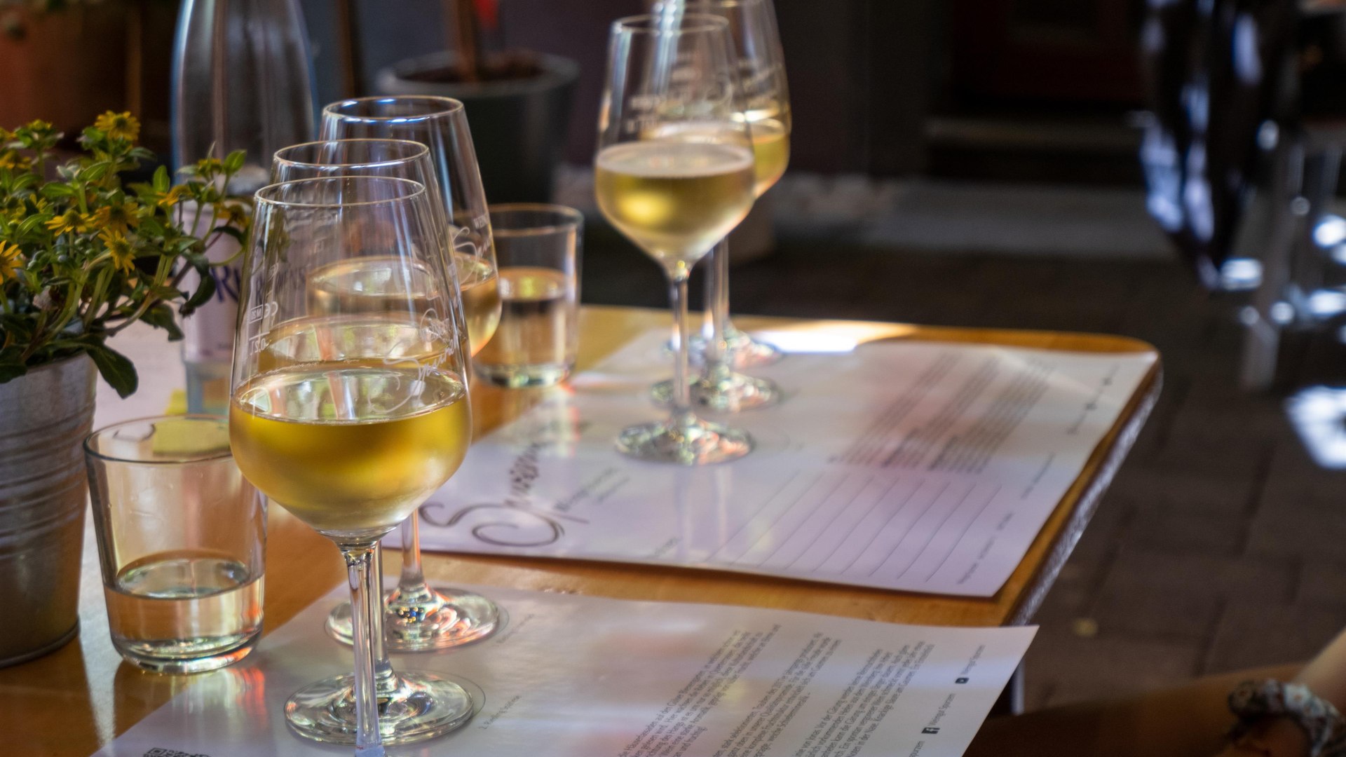 Weinprobe | © Weingut Spurzem Weinprobe | © Weingut Spurzem