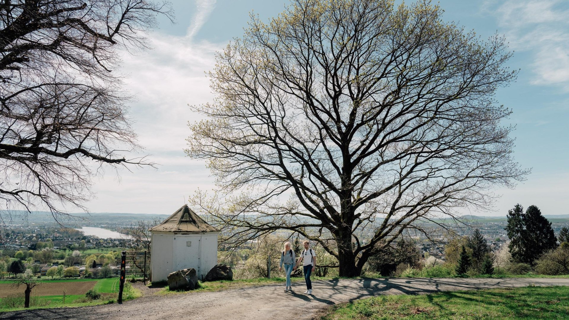 Lindenb&auml;umchen Feldkirchen | &copy; Zimpfer_Photography