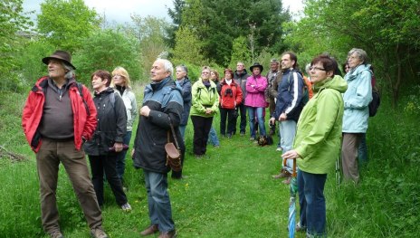 Vogelstimmenwanderung | © Werner Sopp Vogelstimmenwanderung | © Werner Sopp