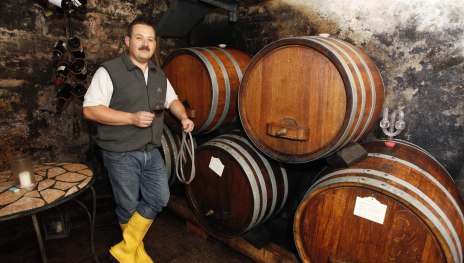 Im Weinkeller Schilling | &copy; Judith Wallerius