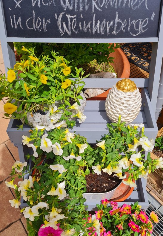 20230524_142745 | &copy; Daniela Herrmann