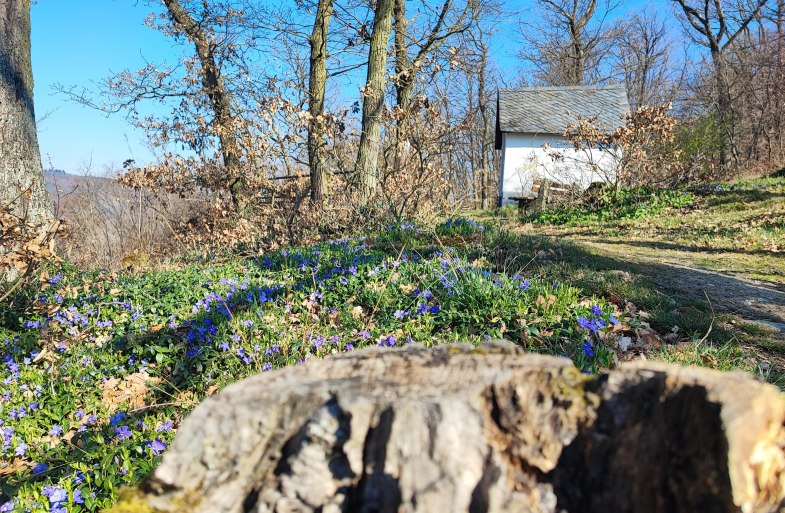 Kapelle | &copy; Ulrike Dallmann