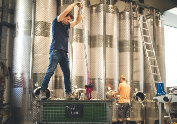 Weingut Trenz | © Weingut Trenz_Filmagentur Rheingau