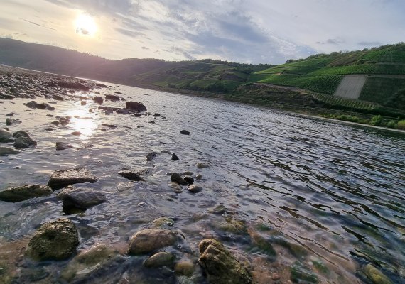 Rhein | &copy; Ulrike Dallmann