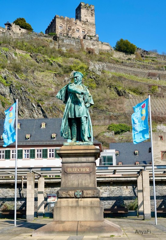 DSC03453 | &copy; AnyaFi