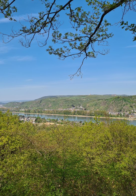 Ausblick | &copy; Tourist-Information Erlebnis Rheinbogen