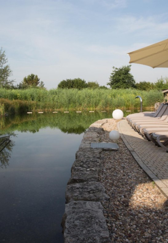 Aussenbereich/CopyrightRheinwelle | © Regionalbad Bingen-Ingelheim GmbH Aussenbereich/CopyrightRheinwelle | © Regionalbad Bingen-Ingelheim GmbH