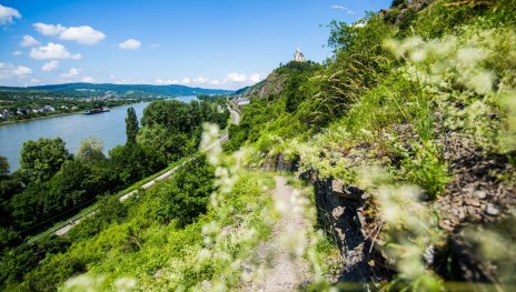 Blick in Richtung Braubach mit Marksburg | &copy; Henry Tornow, Mittelrhein