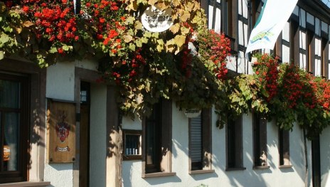 Willkommen im Weingut Hirschmann | &copy; Weingut Hirschmann