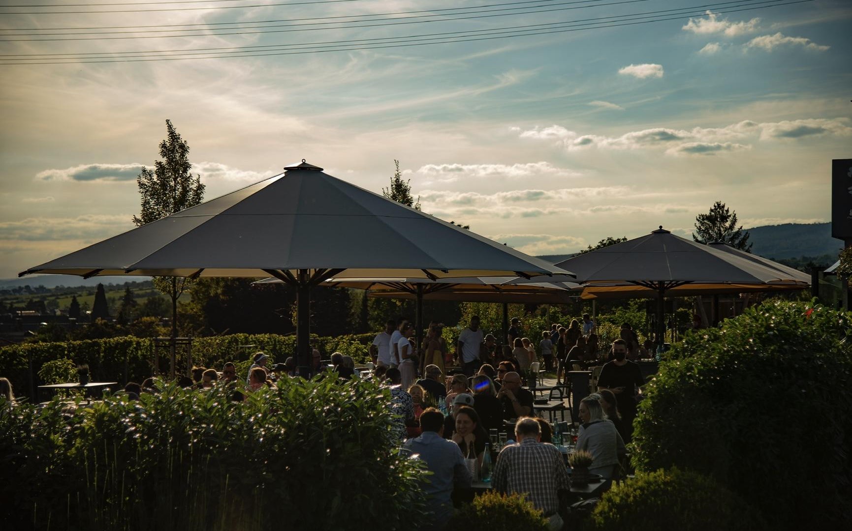 Weingut Hirt Gebhardt | &copy; Weingut Hirt Gebhardt