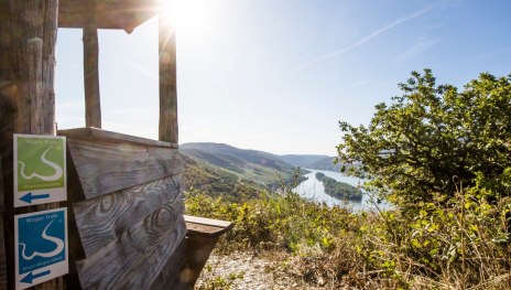 Rheinblick auf dem Rhein-Wisper-Gl&uuml;ck Weg | &copy; Manuel Igel, WIESBADEN RHEINGAU