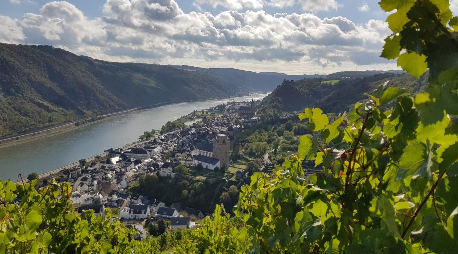 Bank Urbar | © T. Castor Bank Urbar | © T. Castor