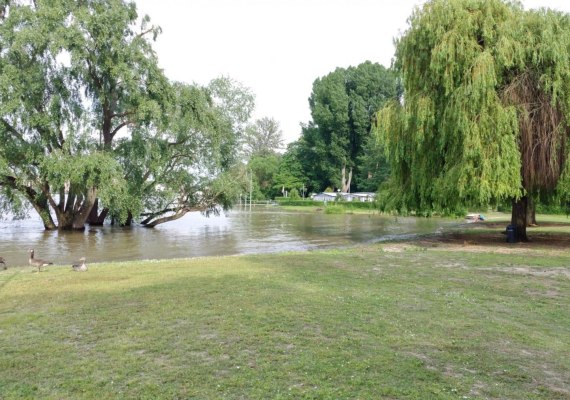 Rettbergsaue_3 | &copy; https://campingfreunde-rettbergsau.de/