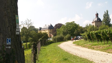 Schloss Vollrads | © Blum, Romantischer Rhein Tourismus GmbH Schloss Vollrads | © Blum, Romantischer Rhein Tourismus GmbH