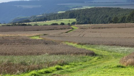 Blick vom Grill- u. Freizeitplatz Richtung Loreley | &copy; Martin Kubat, Romantischer Rhein Tourismus GmbH
