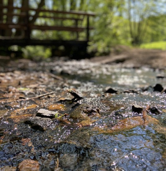 Pilgern | © Hessenagentur Pilgern | © Hessenagentur