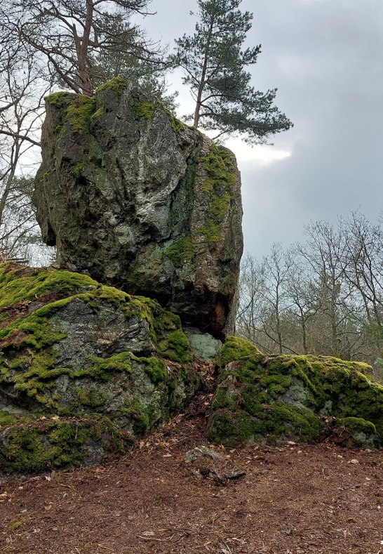 Kuckucksnacks d | © T. Biersch Kuckucksnacks d | © T. Biersch