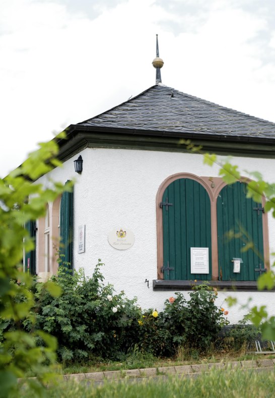 Revoluzzer | &copy; Weingut Bibo Runge