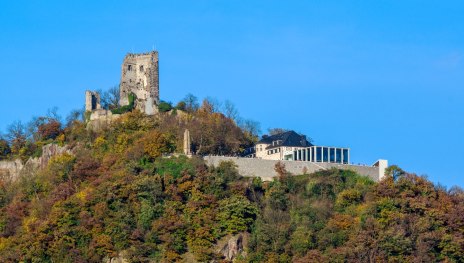 Drachenfels | &copy; Friedrich Gier, Romantischer Rhein Tourismus GmbH
