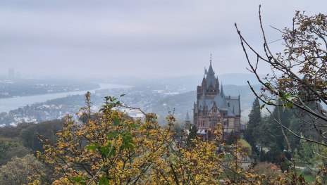 Rheinsteig 01. Etappe Bonn - K&ouml;nigswinter (Nord-S&uuml;d) | &copy; Mirko Vivus, Community