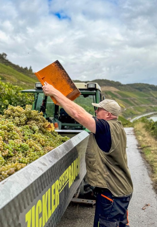 Lese 2024 5 | &copy; Fam.Lorenz