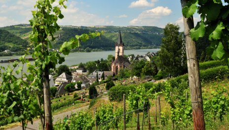 Blick auf Lorch | &copy; Robert Carrera, WIESBADEN RHEINGAU