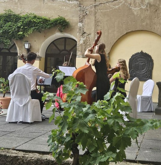 image | © Schloss Arenfels