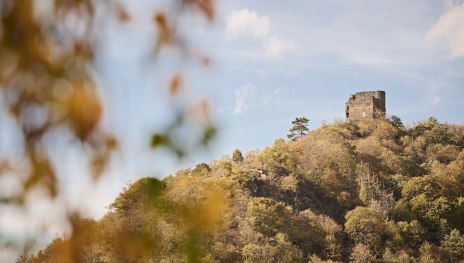 &copy; Marco Rothbrust, Romantischer Rhein Tourismus GmbH