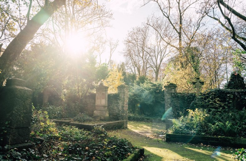 Alter Friedhof | &copy; Zimpfer_Photography