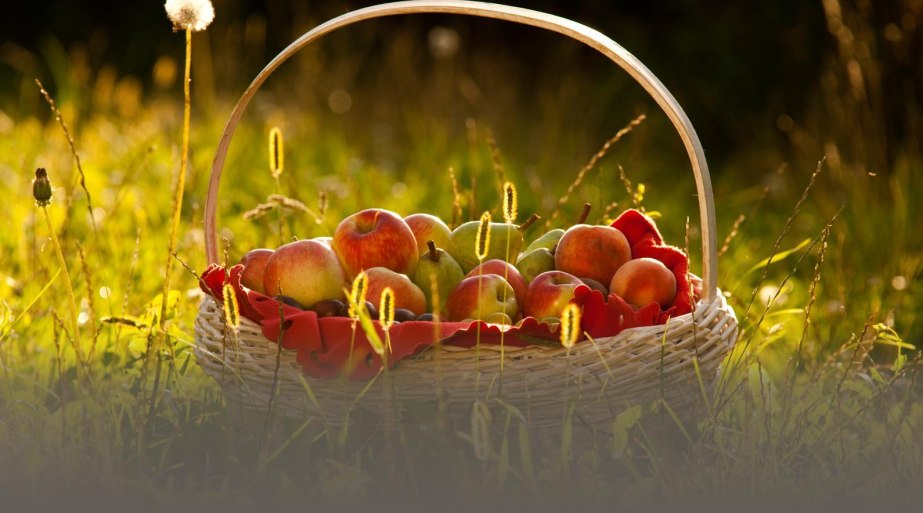 Obstkorb | &copy; &copy;Klaus-Peter Kappest / Verbandsgemeinde Wei&szlig;enthurm