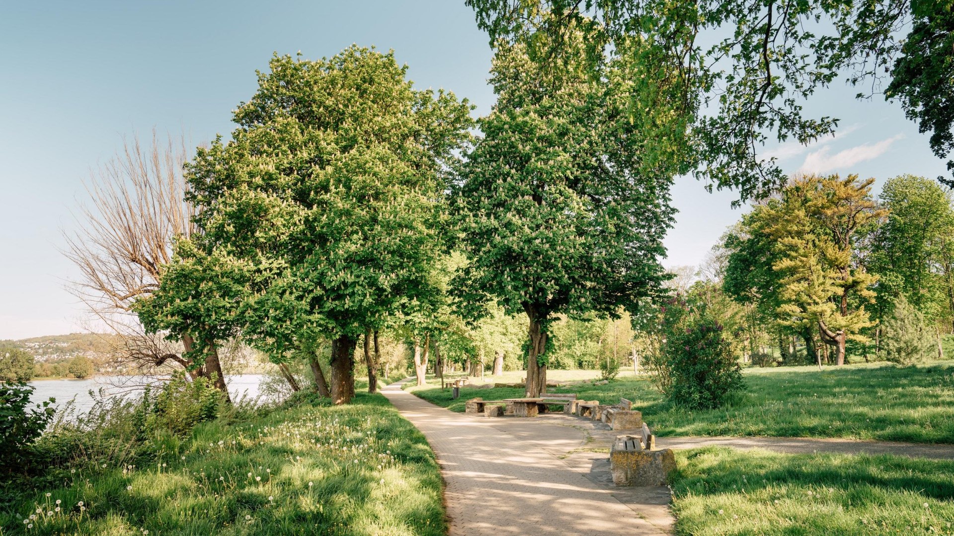 Schlosspark | &copy; Zimpfer_Photography