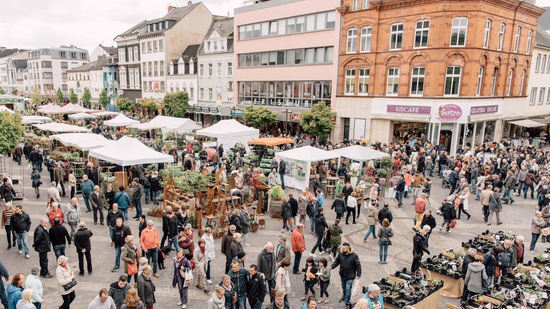 Gartenmarkt Luisenplatz | &copy; Zimpfer