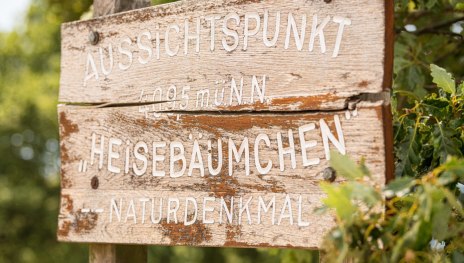 Lahn-Taunus-2019-660-Heiseb&auml;umchen, Dachsenhausen | &copy; Foto: Dominik Ketz / Lahn-Taunus-Touristik e.V., Foto: Dominik Ketz / Lahn-Taunus-Touristik e.V.