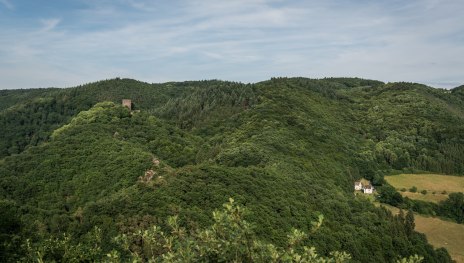 Ausblick auf die Burgruine Neuerburg | &copy; Andreas Pacek , Touristik-Verband Wiedtal e.V.
