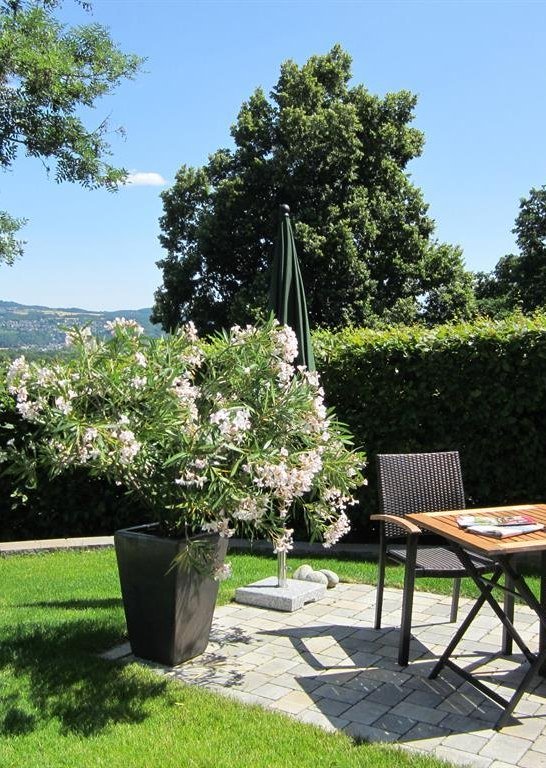 Fr&uuml;hst&uuml;ck in der Morgensonne | &copy; Eigent&uuml;mer