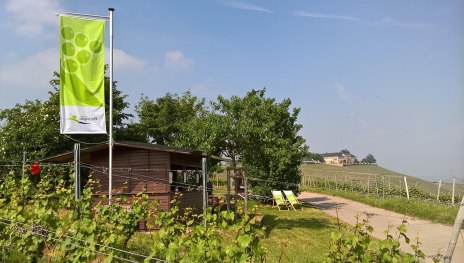 Weinprobierstand mit Blick aufs Schloss | &copy; Weingut Abteihof St. Nicolaus