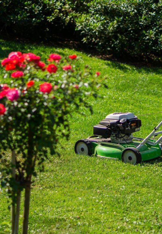 Bild3 | © Klaus Dillmann Bild3 | © Klaus Dillmann