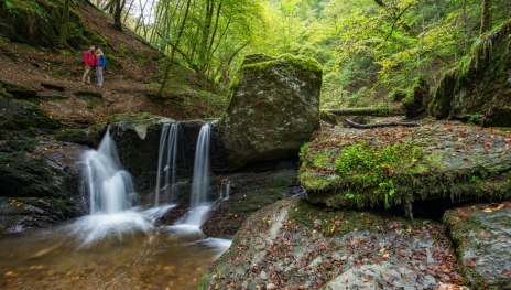 Traumschleife Ehrbachklamm | &copy; Tourist Information Boppard, Romantischer Rhein Tourismus GmbH