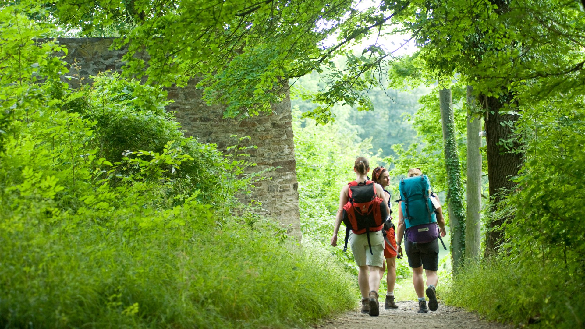 Wanderinnen im Gr&uuml;nen | &copy; Dominik Ketz / Rheinland-Pfalz Tourismus GmbH
