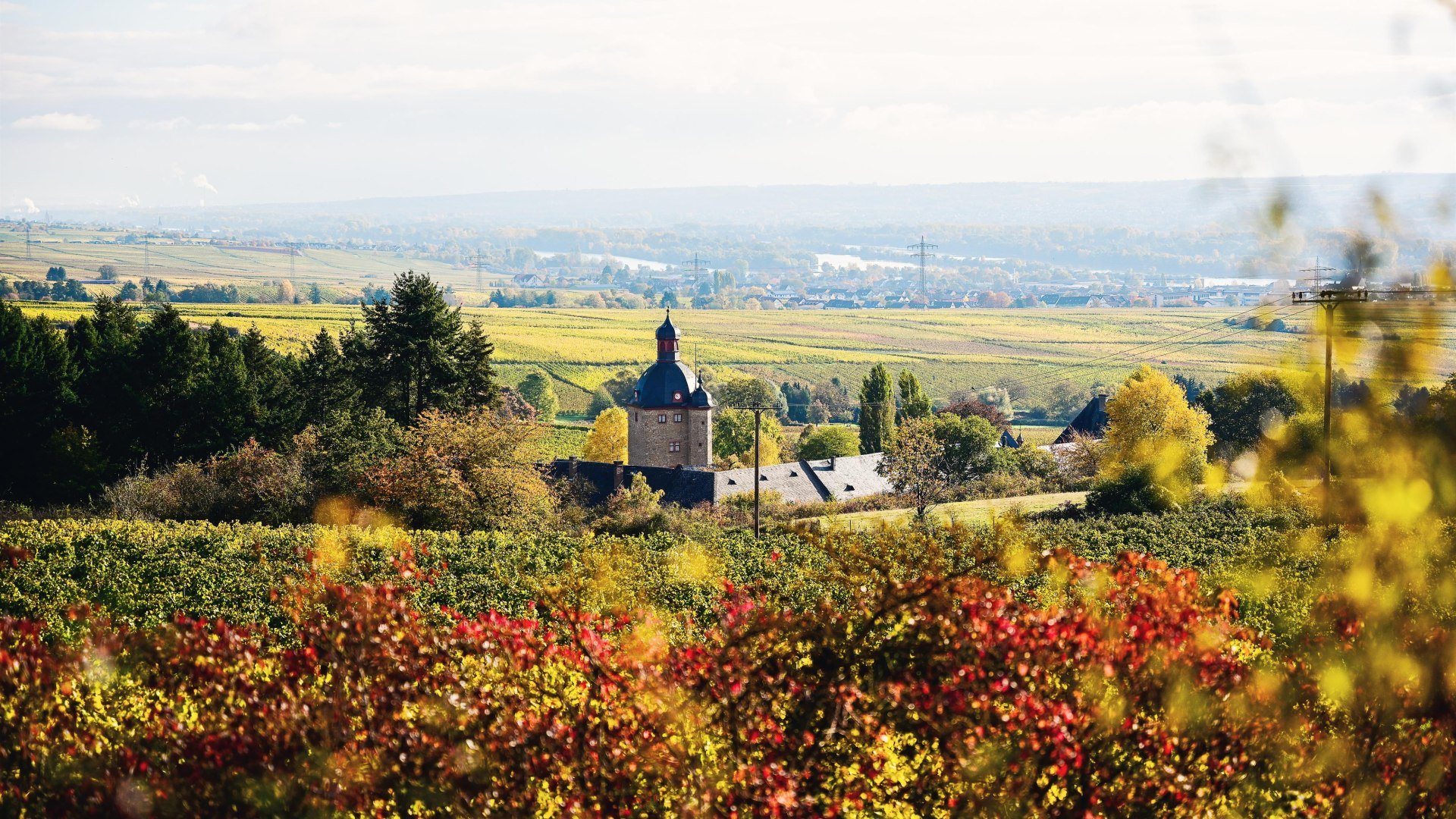 Schloss Vollrads | &copy; Saskia Marloh