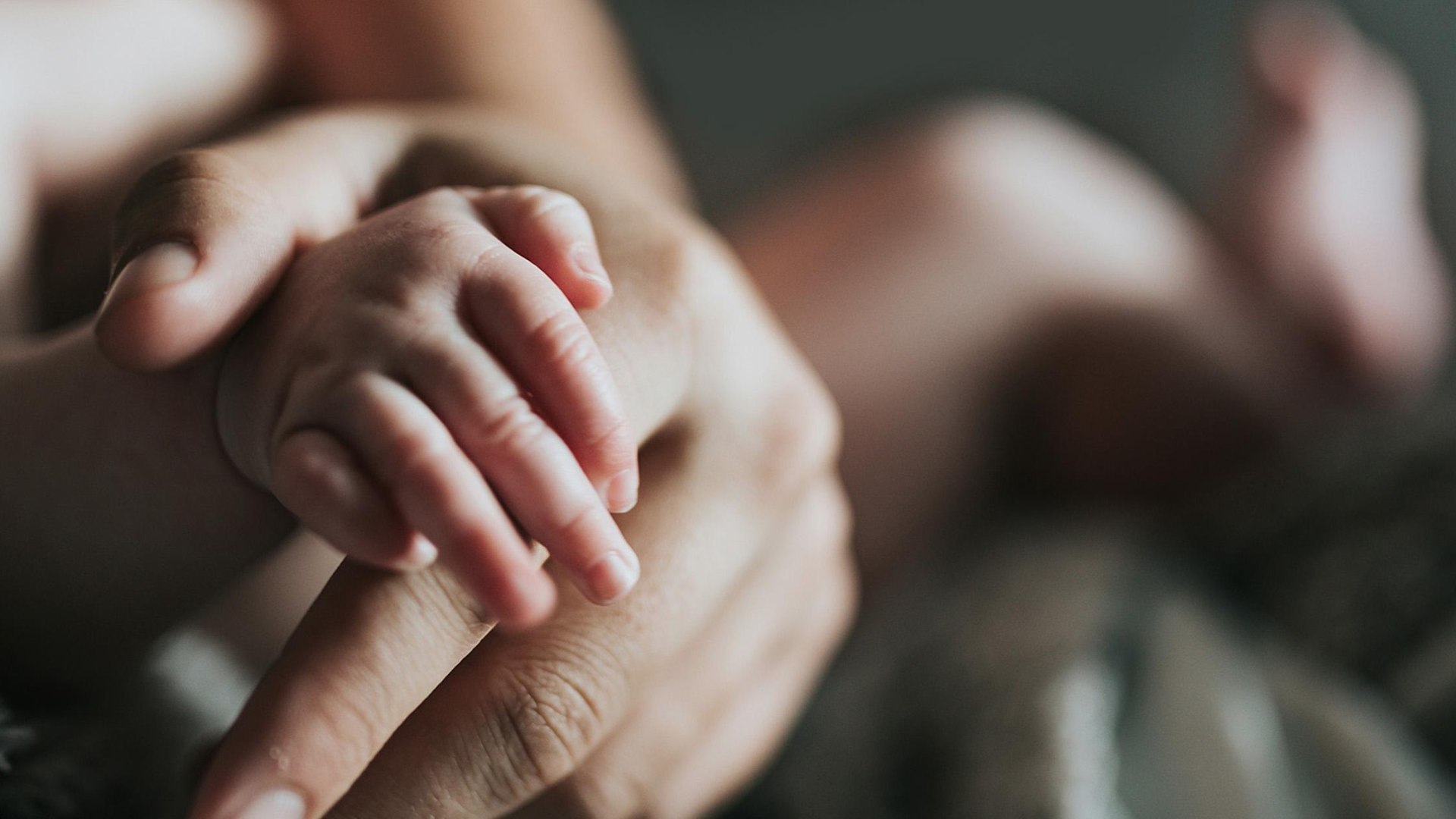 Hände von Erwachsenem und Baby | © Unsplash/Nathan Dumlao Hände von Erwachsenem und Baby | © Unsplash/Nathan Dumlao