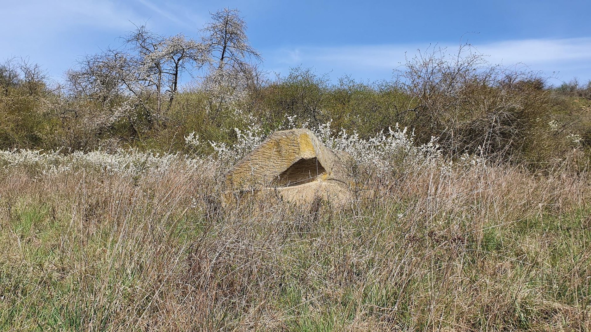 Liegende 1 | © T. Biersch Liegende 1 | © T. Biersch