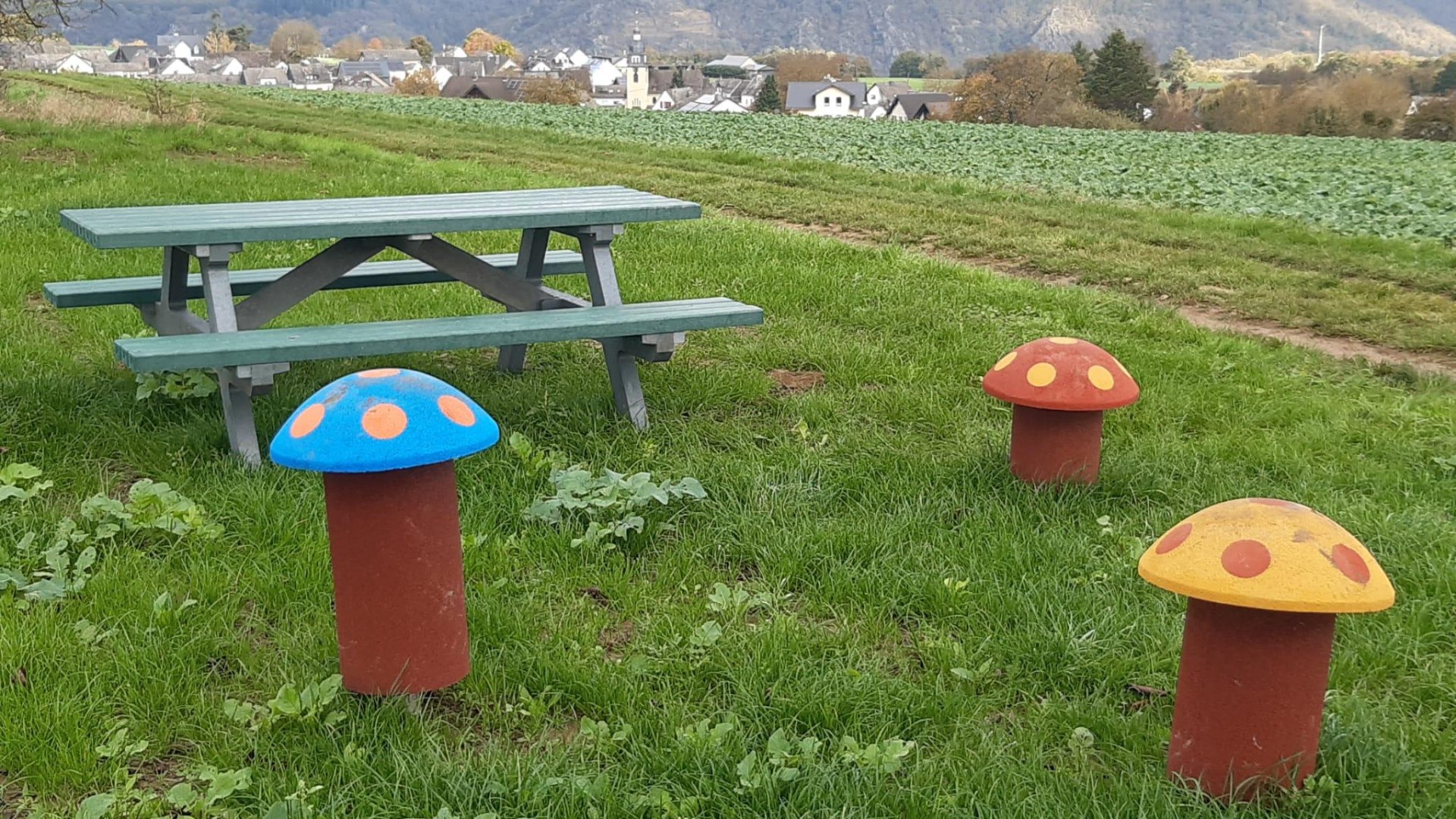 Picknickbank mit Taunusblick | &copy; T. Biersch