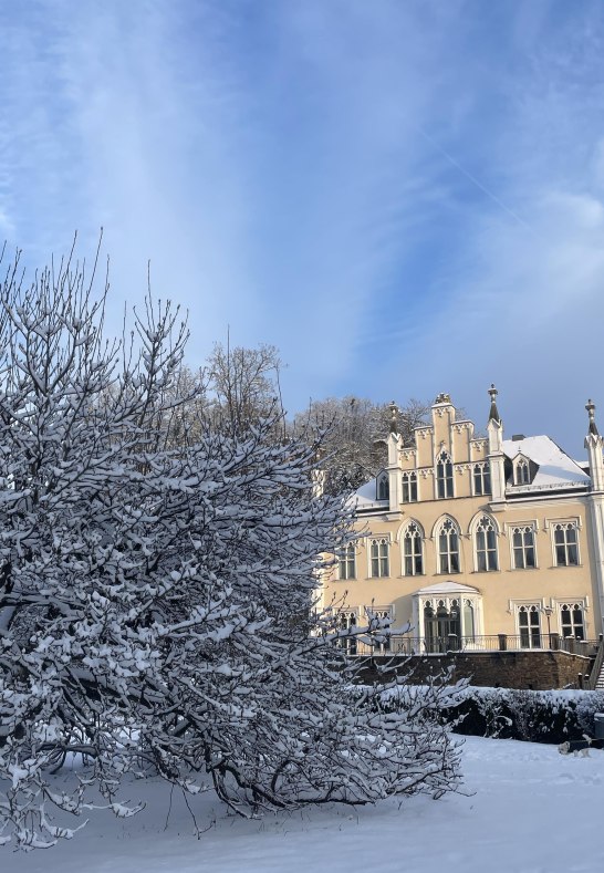 Schlosspark im Winter I | &copy; Stadt Bendorf