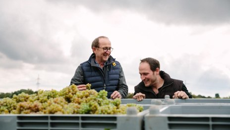 Weinlese Jakob Jung | &copy; Weingut Jakob Jung