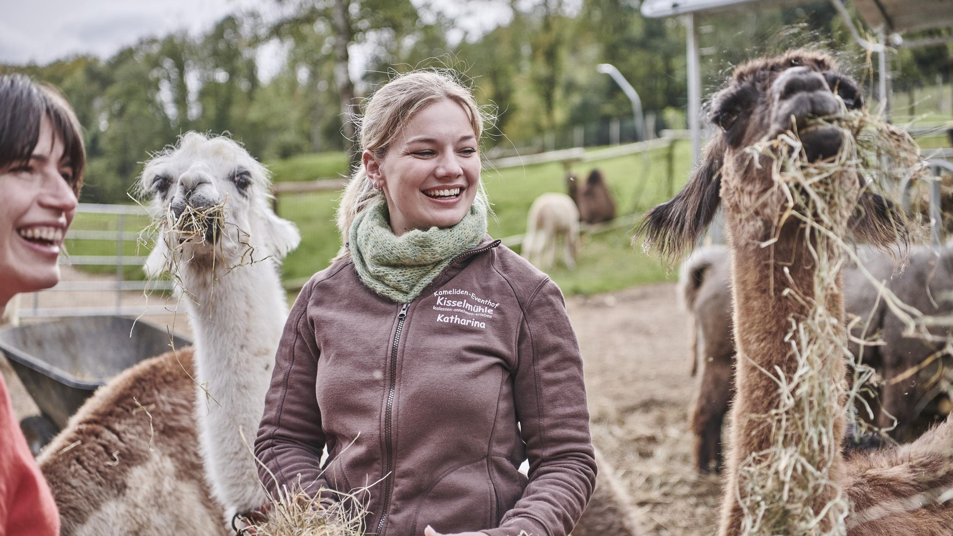 Fütterung Lamas und Alpakas | © HA Hessen Tourismus, Roman Knie
