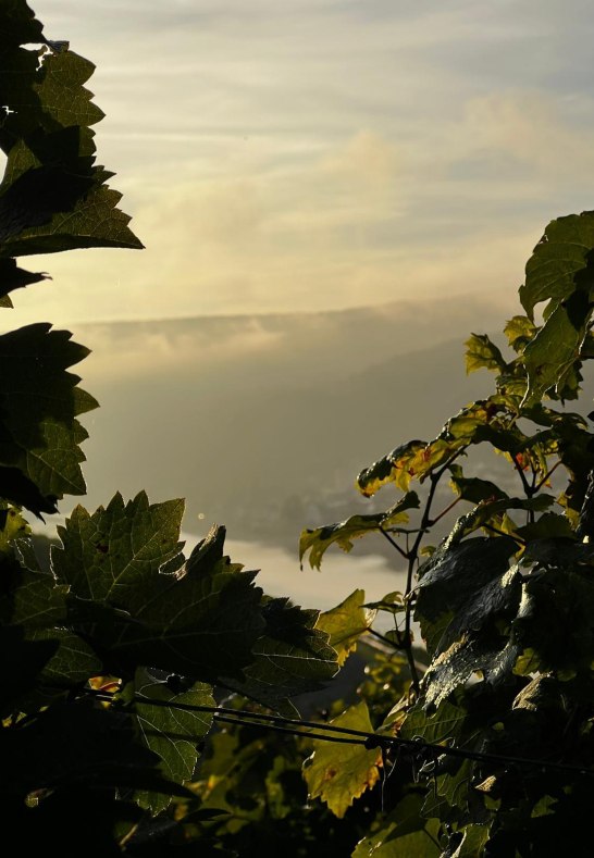 WhatsApp Bild 2023-10-02 um 08.45.17_0ce223bc | © Fam.Lorenz WhatsApp Bild 2023-10-02 um 08.45.17_0ce223bc | © Fam.Lorenz