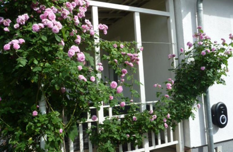 Idyllische Lage der Doppelhaush&auml;lfte | &copy; Familie Nagel