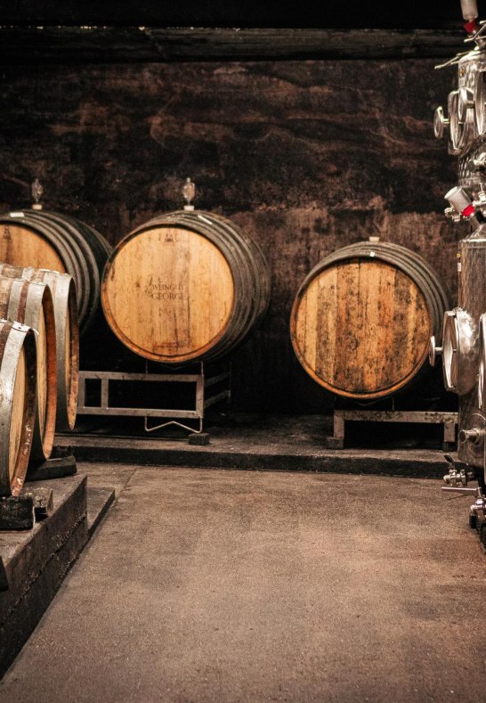 Keller | © Leoni Magnus Keller | © Leoni Magnus